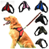 Explosion-Proof Dog Chest Harness with Leash