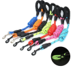 Reflective Dog Leash with Padded Handle