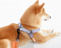 Touchdog 'Macaron'  2-in-1 Durable Nylon Dog Harness and Leash