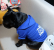 Warm Comfortable Hoodies for Dogs and Cats