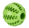 Squeaky Dog Chew Ball