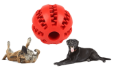 Squeaky Dog Chew Ball