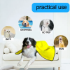 Soft Absorbent Quick Drying Towel For Dogs