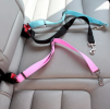 Dog Car Seat Belt