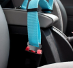 Dog Car Seat Belt