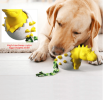 Dinosaur in Egg Doggie Toothbrush Chew Toy