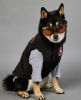 Classic Style Warm Winter Vests for Dogs