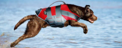 Pet Life 'Helios Splash' Life Jacket for Dogs