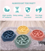 Slow Feeder Bowl for Dogs