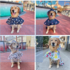 Cute Character Hooded Rain Poncho Cape for Dogs