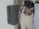 Wall Corner or Table Leg Cat Massager-Scratcher