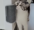 Wall Corner or Table Leg Cat Massager-Scratcher