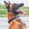 Comfortable Fit Reflective Nylon Dog Collar