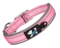 Durable Dog Collars with Neoprene Lining