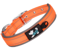 Durable Dog Collars with Neoprene Lining