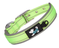 Durable Dog Collars with Neoprene Lining