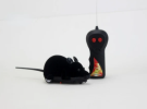 Remote Control Battery Mouse Toy for Cats