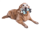 Pet Life Matching Squeaker Dog and Cat Toys