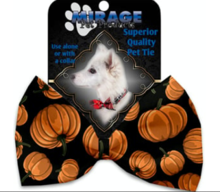 Pumpkin Bow Ties (Item: Pumpkin Patch)