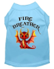 Dragon Shirts - Fire Breather