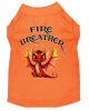 Dragon Shirts - Fire Breather