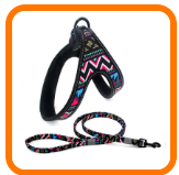 Easy Step-in Harness/Sling and Leash Set (size: Small, Item: South West)