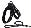 Easy Step-in Harness/Sling and Leash Set