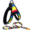 Easy Step-in Harness/Sling and Leash Set