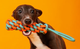 Interactive Dog Knot Chew