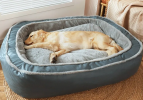 Plush Bolstered Bed for Medium and Large Dogs