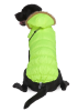 Hooded Dog Parka for Winter