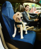 Pet Life Open Road Single Dog Car Seat Cover