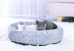 Cat Nest with Multi-function Tent Toy Swing