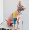 Tie-Dyed Rainbow Shirts for Hairless Cats