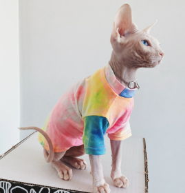 Tie-Dyed Rainbow Shirts for Hairless Cats (size: X Small)