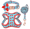 Fun Collar & Harness Vest Sets for Small Dogs