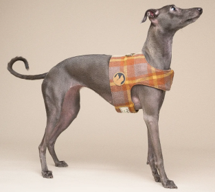 Vest Harness in Martin Yellow Plaid (size: X Small)