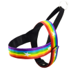 Fun Stars and Rainbow Dog Harness