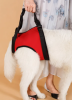 Elderly Dog Assist Belt