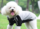 Hoodie Sweater for Dogs