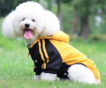 Hoodie Sweater for Dogs