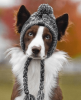 Fluffy Warm Knitted Polar Pom Hat for Dogs