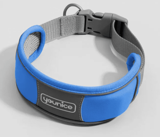 Anti-Explosion Cute Dog Collar (Color2: Blue, size: X Small)