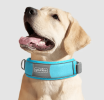 Anti-Explosion Cute Dog Collar