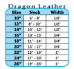 Leather Dragon Skin Collar - Magic