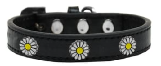 White Daisy Fun Widget Collars - Black (size: Small)