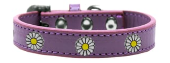 White Daisy Fun Widget Collar - Purple (size: Small)