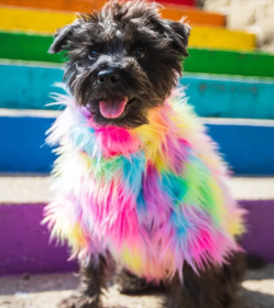 Festive Fuzzy Sweaters for Dogs and Cats (size: Small)