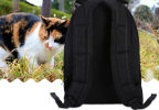 Hard Shell Space Bubble Bag for Cats and Dogs