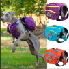 Fur Baby Backpack & Harness